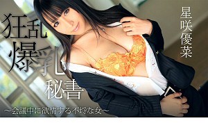 星咲優菜 狂乱爆乳秘書～会議中に欲情する不埒な女～